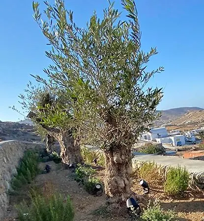 招待所 Charma Mykonos 凯勒里瓦迪