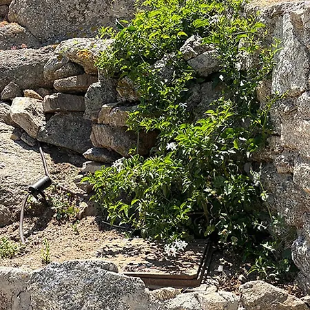 Gasthuis Charma Mykonos *