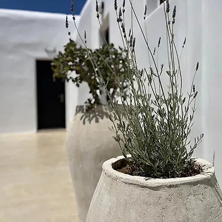 Gasthuis Charma Mykonos
