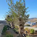 Vendégház Villaggio Mykonos Kaló Livádi